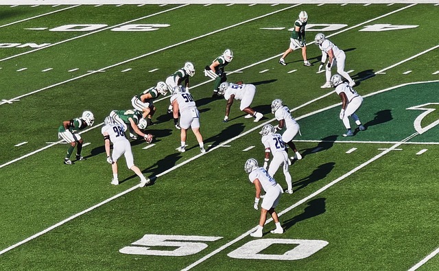 运动员应该 运动员应该