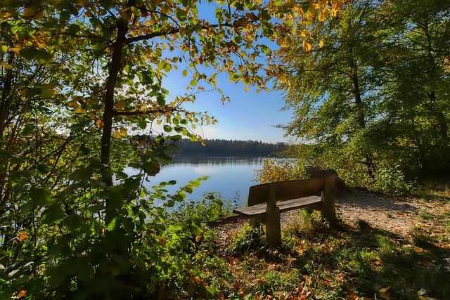 志的展现 志的展现